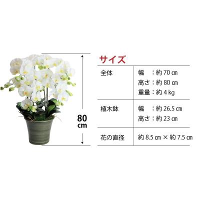 ふるさと納税 碧南市 綺麗で丈夫な三河陶器で贈る光触媒胡蝶蘭大輪5本立(グリーンの陶器×白色の花) H100-094の画像