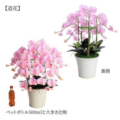 ふるさと納税 碧南市 綺麗で丈夫な三河陶器で贈る光触媒胡蝶蘭大輪5本立(白釉薬の陶器×桃色の花) H100-095の画像