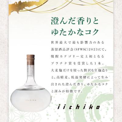 ふるさと納税 宇佐市 いいちこプレミアムFSp 【101600300】【江戸心本館USA】_1