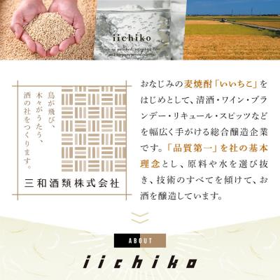ふるさと納税 宇佐市 いいちこプレミアムFSp 【101600300】【江戸心本館USA】_3