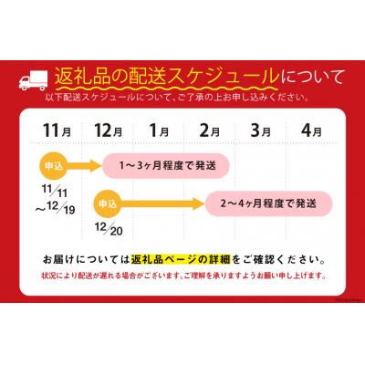 ふるさと納税 気仙沼市 訳あり 銀鮭 切身 約2kg [宮城東洋 宮城県 