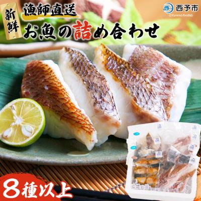 ふるさと納税 西予市 <漁師直送 新鮮お魚の詰め合わせ(愛媛県西予市明浜産)> 海産 魚介 食べ比べ