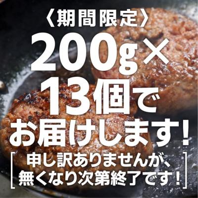 ふるさと納税 南あわじ市 【期間限定】淡路島玉ねぎハンバーグ200g×13個(冷凍)｜y-sf｜03