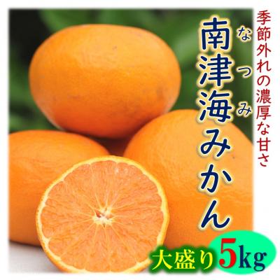 ふるさと納税 国東市 貴重な極甘みかん「南津海(なつみ)」約5kg_1508R