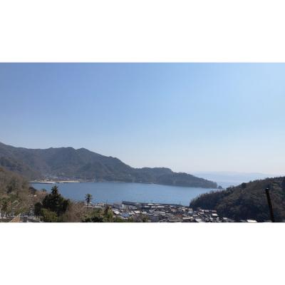 ふるさと納税 呉市 希少品種 プリンス清見を使ったみかんワイン「kiyomi」 2本 1か月以内で発送　ただし注文状況によってはお時間をいただく場合がございます 　