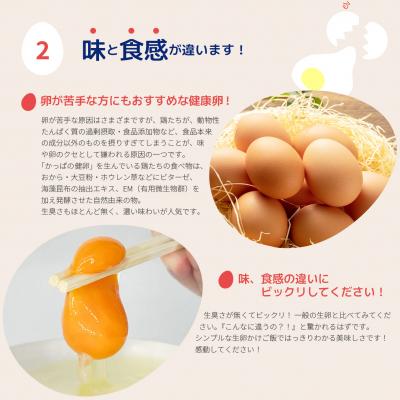 ふるさと納税 比布町 大熊養鶏場　かっぱの健卵　20個入り