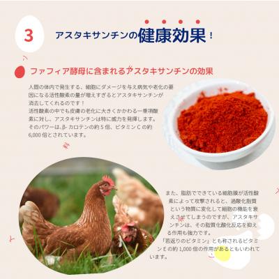 ふるさと納税 比布町 大熊養鶏場　かっぱの健卵　20個入り