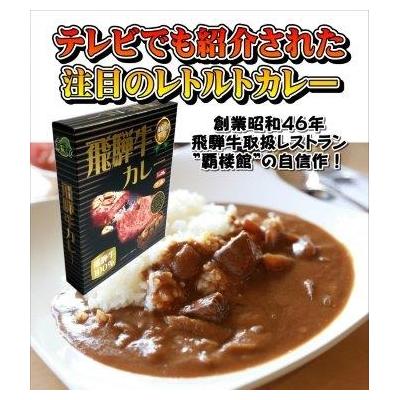 ふるさと納税 岐阜県 覇楼館・飛騨牛カレー1人前(250g)×14個セットの画像
