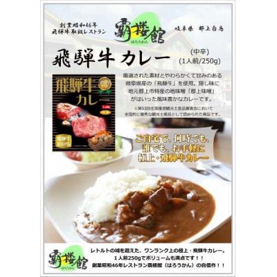 ふるさと納税 岐阜県 覇楼館・飛騨牛カレー1人前(250g)×14個セットの画像
