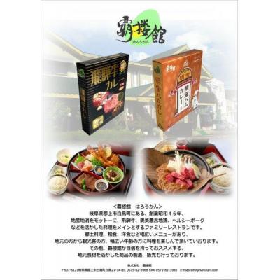 ふるさと納税 岐阜県 覇楼館・飛騨牛カレー1人前(250g)×14個セットの画像