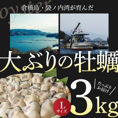 ふるさと納税 呉市 北吉水産 広島県産 冷凍 かき Lサイズ 3kg(1kg×3袋) ku004-004-r｜y-sf｜03