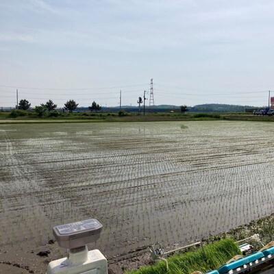 ふるさと納税 能代市 玄米 農家直送!秋田県産 あきたこまち 30kg[No.5335-0185]_3
