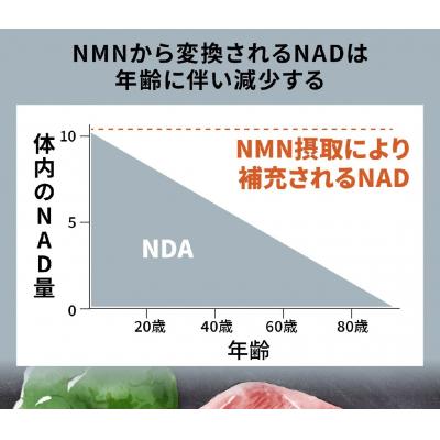 ふるさと納税 伊豆市 100年時代応援サプリ NMN15000×12か月分の画像