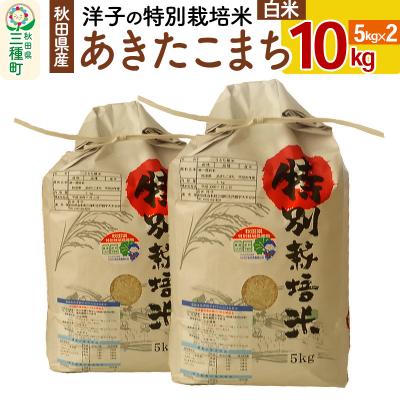 ふるさと納税 三種町 洋子の あきたこまち 特別栽培米 10kg[白米] 令和5年産|05_jsy-411001
