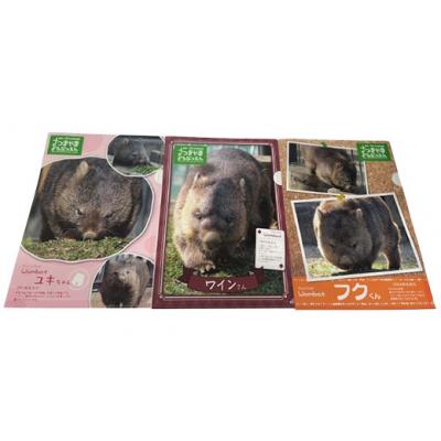 五月山動物園 ウォンバット ぬいぐるみ タグ付き 五月山動物園 ウォンバットグッズAセット | 大阪府池田市