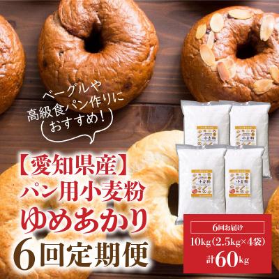 ふるさと納税 碧南市 [小麦粉]愛知県産 ゆめあかり パン用 強力粉 2.5kg×4袋 定期便6回