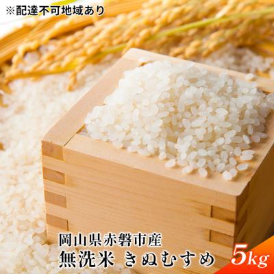 ふるさと納税 赤磐市 令和7年度産 無洗米 きぬむすめ 5kg 白米 お米 岡山 赤磐市産[NO5765-0892]
