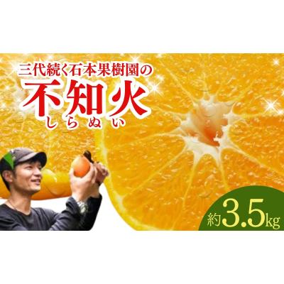 ふるさと納税 紀宝町 石本果樹園の美味しい 不知火 約3.5kg[2026年2月初旬〜下旬発送][min002B]