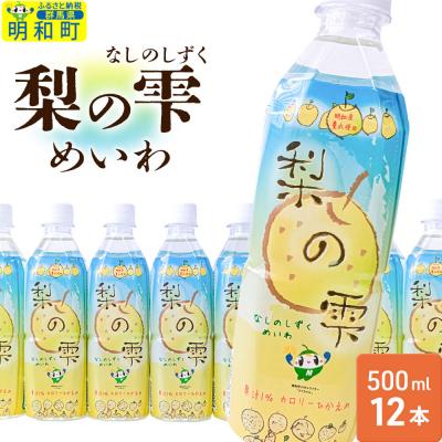 ふるさと納税 明和町 梨の雫めいわ 500ml×12本 明和町産豊水使用 清涼飲料水|10_msi-011201