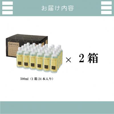 ふるさと納税 乙部町 【Gaivota 2箱(500ml×24本/箱)】北のハイグレード食品 北海道乙部町の天然シリカ水の画像