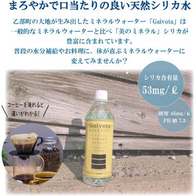 ふるさと納税 乙部町 【Gaivota 2箱(500ml×24本/箱)】北のハイグレード食品 北海道乙部町の天然シリカ水の画像