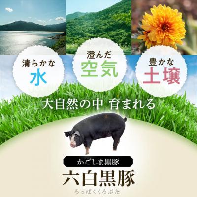 肉、ハム、ソーセージ ふるさと納税 肝付町 かごしま黒豚セット　C02048