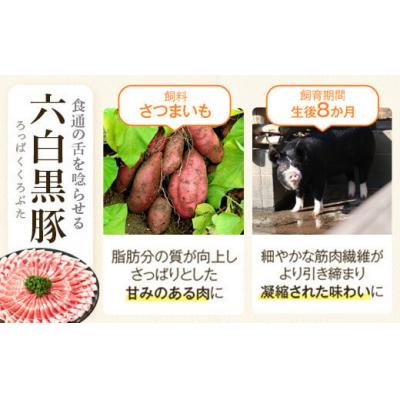 肉、ハム、ソーセージ ふるさと納税 肝付町 かごしま黒豚セット　C02048