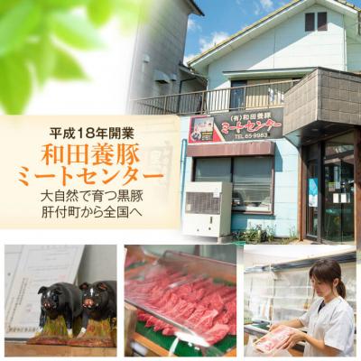 肉、ハム、ソーセージ ふるさと納税 肝付町 かごしま黒豚セット　C02048