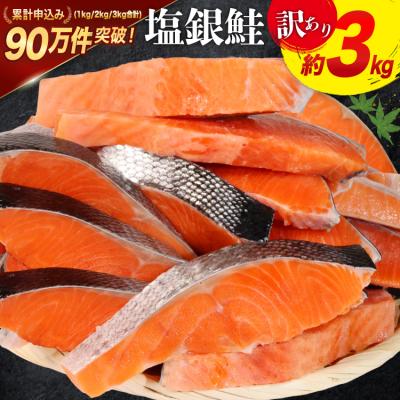 ふるさと納税 気仙沼市 訳あり 鮭 切身 約3kg [宮城東洋 宮城県 気仙沼市 20564992] サーモン