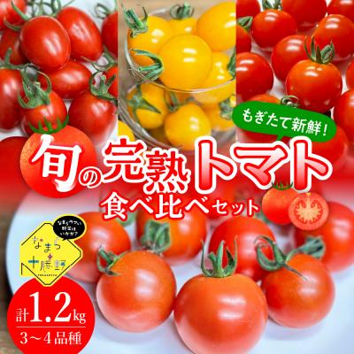 ふるさと納税 芽室町 [先行受付][2026年8月上旬より順次発送]旬の完熟トマト3〜4品種詰め合わせ食べ比べセット