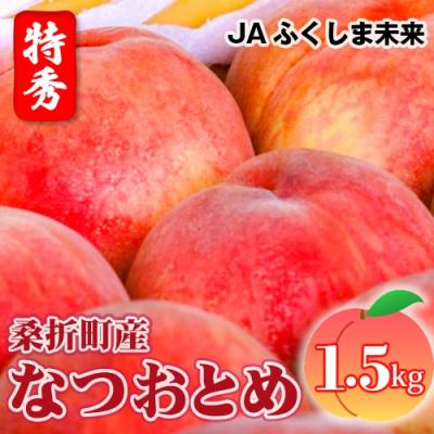 ふるさと納税 桑折町 もも[なつおとめ・2026年産先行受付]特秀1.5kg 桑折町産 JAふくしま未来 桃