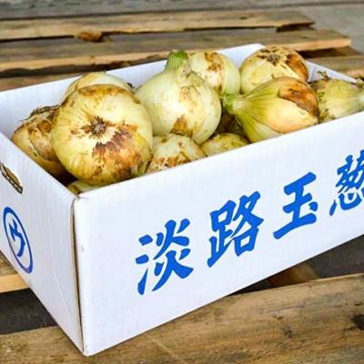 ふるさと納税 南あわじ市 【淡路島の青果屋】淡路島産新たまねぎ 10kgの画像