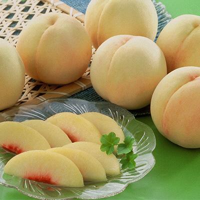 匿名！送料無料！ ふるさと納税 瀬戸内市 環山堂セレクト 晴れの国おかやまより果物を旬な時期に3回に分けてお届け![No.5735-1701] 【1083709386】(39500円)