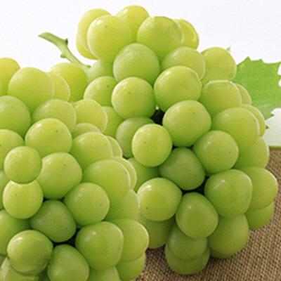 匿名！送料無料！ ふるさと納税 瀬戸内市 環山堂セレクト 晴れの国おかやまより果物を旬な時期に3回に分けてお届け![No.5735-1701] 【1083709386】(39500円)