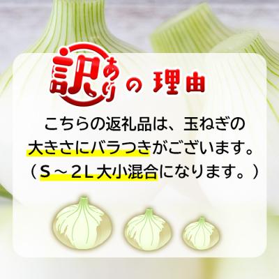 ふるさと納税 淡路市 【新たまねぎ】【訳アリ品】今井ファームの淡路島たまねぎ5kg【サイズ混合S〜2L】4月下旬〜5月発送｜y-sf｜02