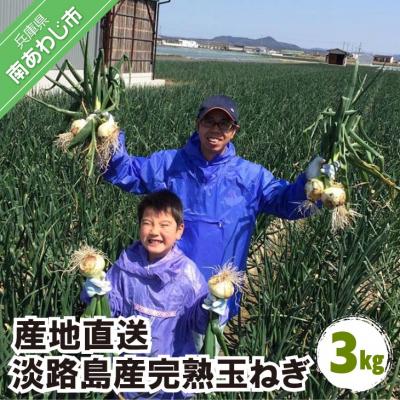 ふるさと納税 南あわじ市 淡路島産玉ねぎ 3kg ◆配送令和8年5月中旬〜