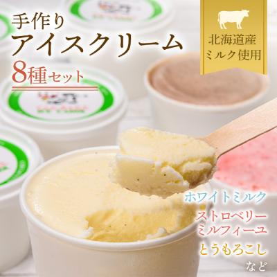 ふるさと納税 南幌町 北海道産 手作りアイスクリームセット 120ml×8個(おまかせ詰め合わせ) 南幌町 スイーツ