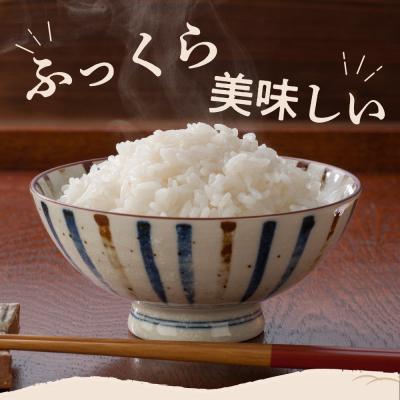 ふるさと納税 妙高市 2024年6月下旬より発送【定期便】新潟県矢代産コシヒカリ5kg×2回(計10kg)｜y-sf｜02