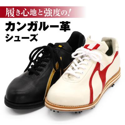 ふるさと納税 三宅町 ゴルフ シューズ ( 2足セット・カンガルー革 &amp; 人工皮革) カラー オーダー ジャガーズ創工