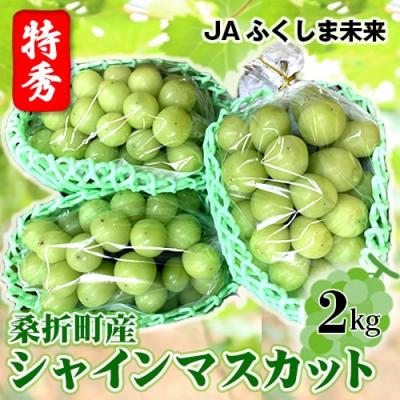 ふるさと納税 桑折町 [令和8年9月頃発送]ぶどう(シャインマスカット)特秀2kg 桑折町産 JAふくしま未来 葡萄