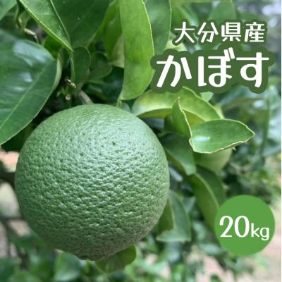 ふるさと納税 宇佐市 [大分県産直]久井田農園のかぼす 20kg [112600400][株式会社andK]
