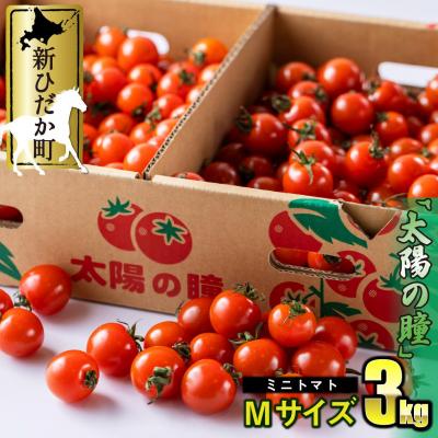 ふるさと納税 新ひだか町 <9/15までの受付> 北海道産 ミニトマト 太陽の瞳 M サイズ 3kg 新ひだか町