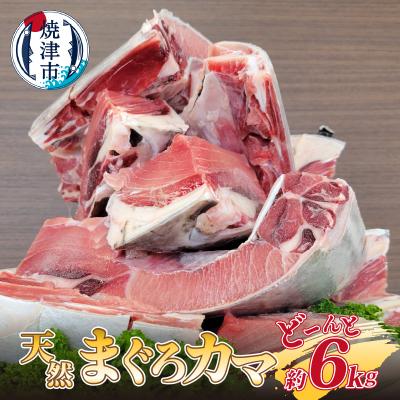 ふるさと納税 焼津市 大きな 天然 まぐろ カマ 業務用 約6kg BBQにも(a10-907)