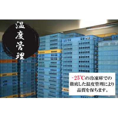 ふるさと納税 境港市 ボイルずわいがに肩(3L/5-6肩/約1.5kg)｜y-sf｜03