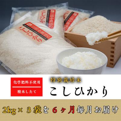 ふるさと納税 八頭町 “土づくりの恵み" つやっつやの特別栽培米お届け 6ヶ月コース