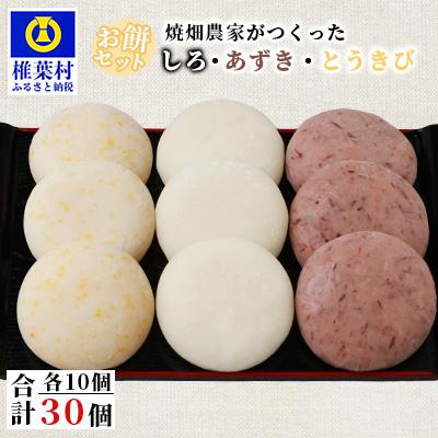 ふるさと納税 椎葉村 [さとふる限定]焼畑農家がつくった3種のお餅セット(白もち あずきもち とうきびもち)