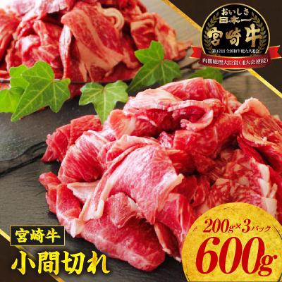 ふるさと納税 高千穂町 宮崎牛 こま切れ600g