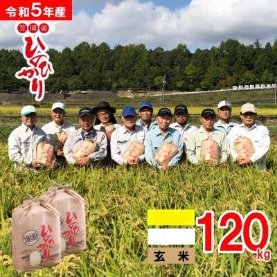 ふるさと納税 笠岡市 [令和5年産 新米先行受付]玄米 岡山県産ひのひかり 笠岡産 120kg太陽の恵み O-2_120k