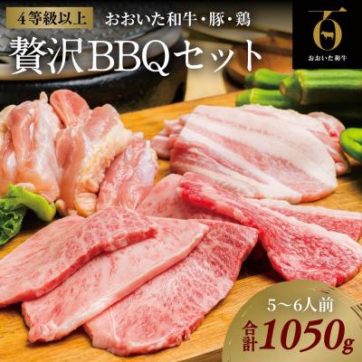 ふるさと納税 豊後高田市 [スピード発送] 焼肉 おおいた和牛焼肉セット (合計1050g) 牛 豚 鶏 バーベキュー BBQ