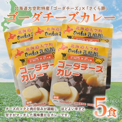 ふるさと納税 大空町 ゴーダチーズカレー200g×5食